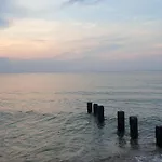 44